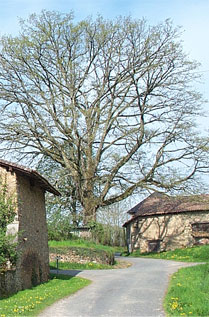 lesmondoux